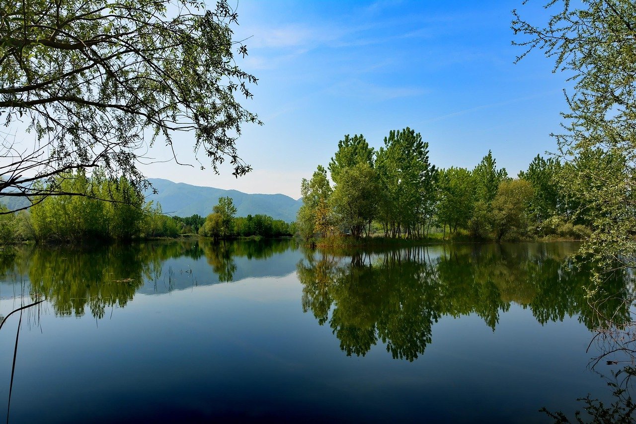 Sapanca